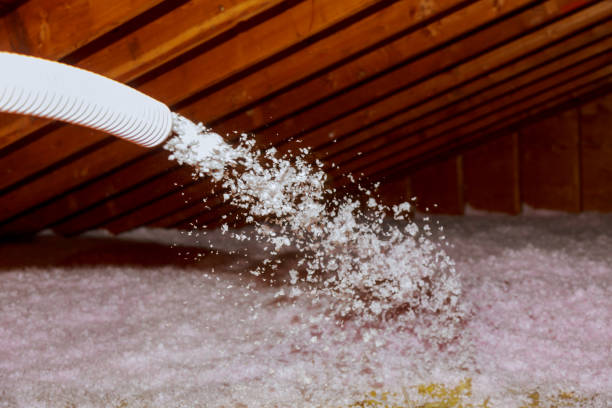 Best Best Insulation Companies  in Elysburg, PA
