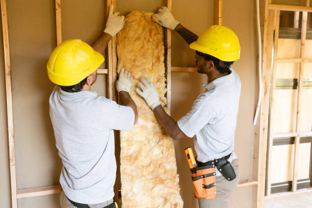 Best Insulation Contractors for Homes  in Elysburg, PA